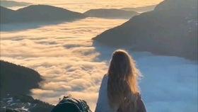 有关孔雀的搞笑视频,搞笑瞬间引网友爆笑